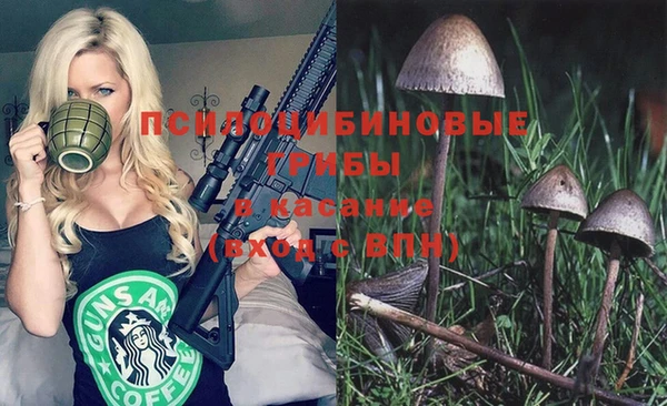 гашик Алексеевка