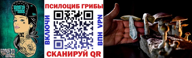 Галлюциногенные грибы MAGIC MUSHROOMS  дарнет шоп  Чебоксары 